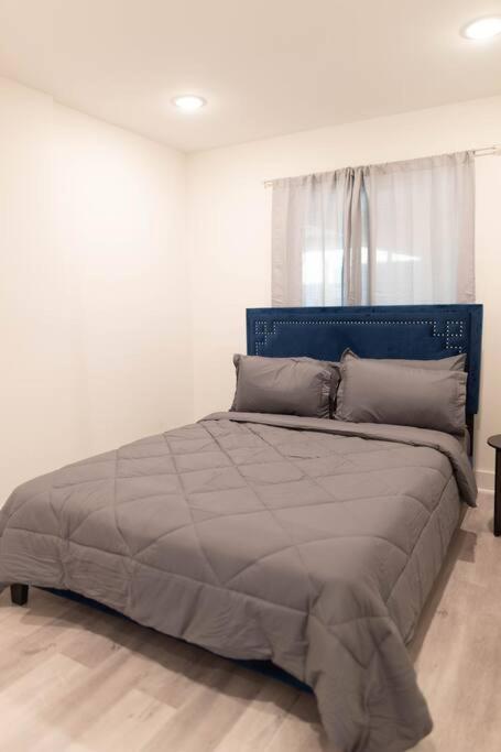 Platinum Palace 1Br 1Ba - Central Dallas Stay Ngoại thất bức ảnh