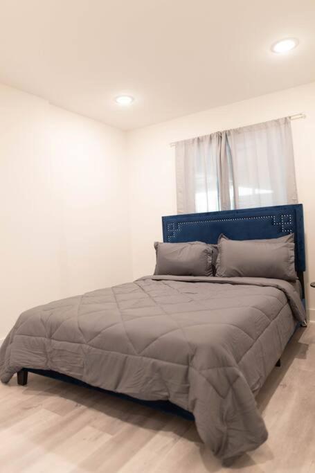 Platinum Palace 1Br 1Ba - Central Dallas Stay Ngoại thất bức ảnh